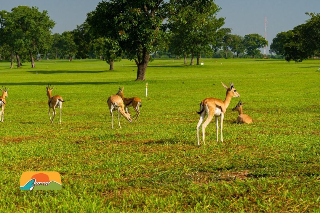 Zuma Rock Resort Abuja Exteriör bild